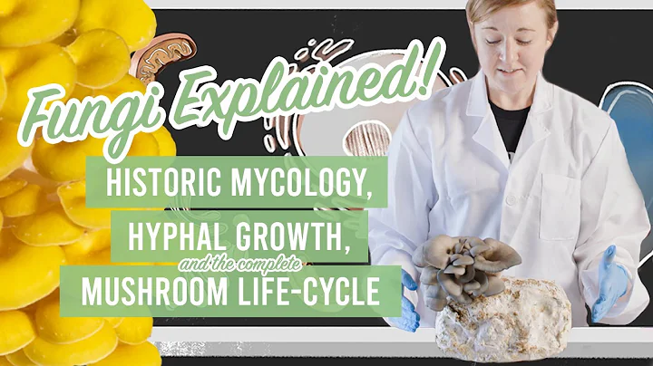 Fungi Explained! Historic Mycology, Biology, Hyphal Growth, and the Complete Mushroom Life-Cycle - DayDayNews