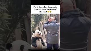 Even The Panda Started Laughing