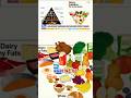 Trump, HHS FLIP the food pyramid #foxnews #news #shorts