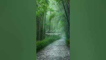 #القرآن_الكريم #المصحف #تلاوة_خاشعة #لايك #راحة_نفسية #اكسبلور #سكينة_القلب #رقية_شرعية