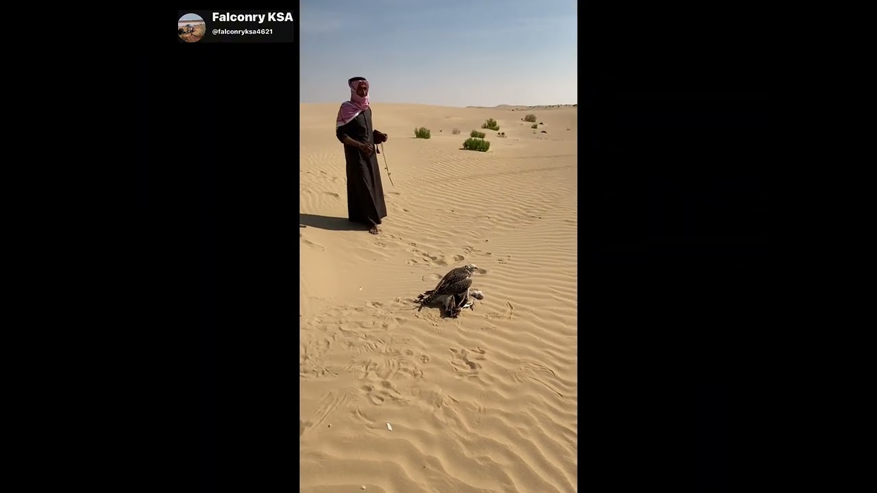 هدد حلو بس مصور فاشل 