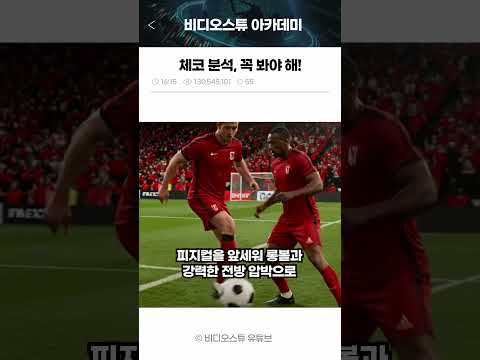 북중미 월드컵 A조 스탯분석체코편