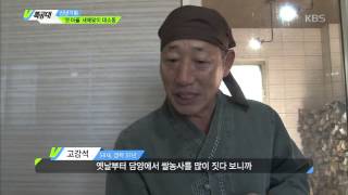 VJ 특공대 - 福 드세요! '엿 마을' 새해맞이 대소동 20160101