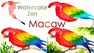 Watercolor Zen - Painting a Macaw