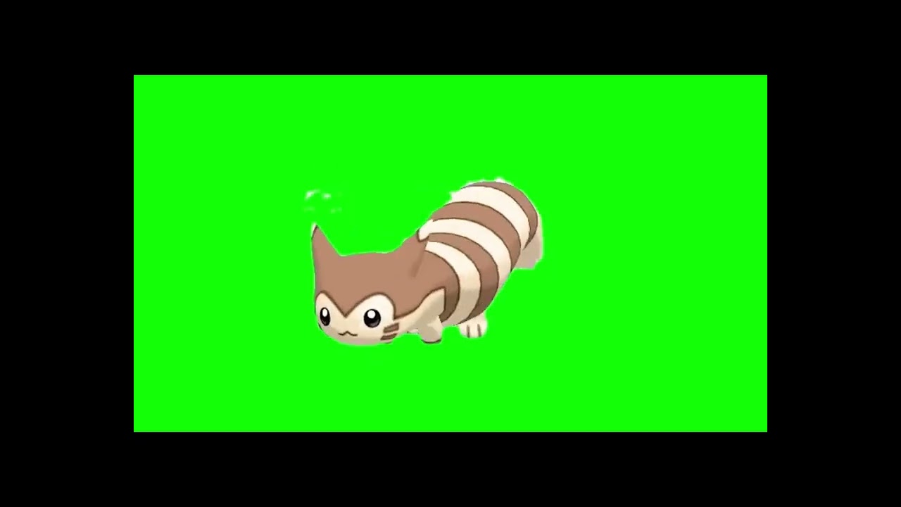 Furret run green screen