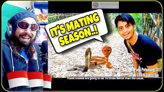 "PANJI PETUALANG" Double Cobra Catch 🐍 !!!