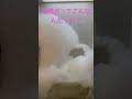 泡風呂ってこんなんだっけ？笑