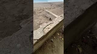 Great view at the beach... until I saw this!