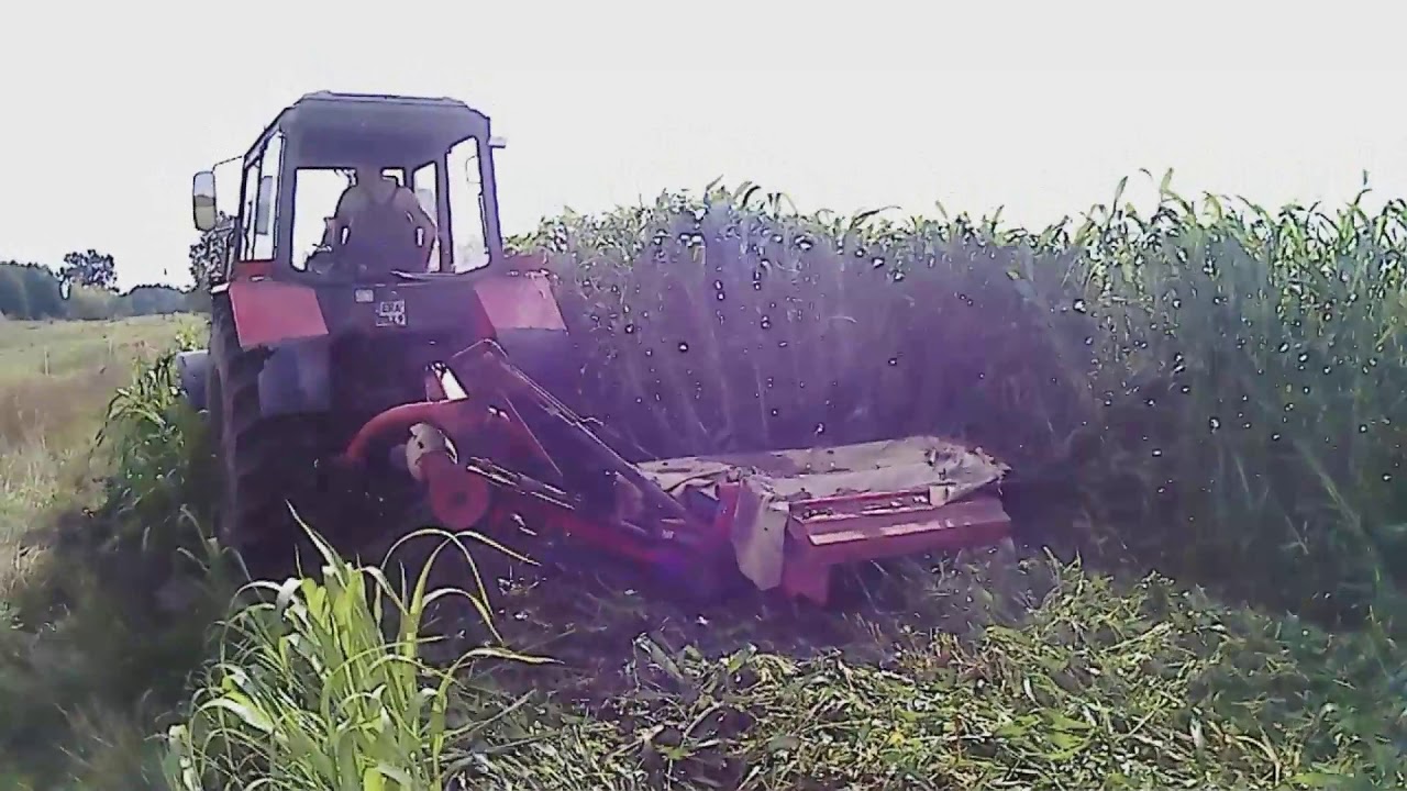 Koszenie trawy Nutry Honey (Sorgo + trawa sudańska)