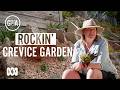 Create Your Own Crevice Garden | DIY Garden Projects | Gardening Australia