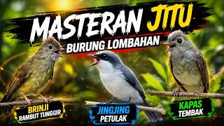 MASTERAN JITU BURUNG LOMBAHAN JINGJING PETULAK KAPAS TEMBAK BRINJI RAMBUT TUNGGIR REMIX JERNIH JEDA