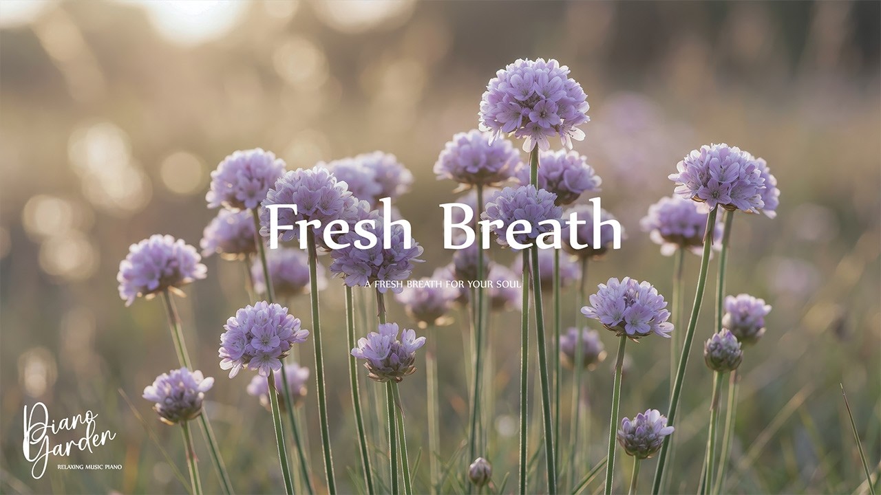 A Fresh Breath for Your Soul 🍃✨ Relaxing Piano Music for Morning Clarity, Inspiration & Deep Focus