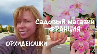 видео: Садовые магазины ФРАНЦИИ / МИЛЛИОН ОРХИДЕЙ/ ПОДСВЕЧНИК МЕЧТА  картинка: Садовые магазины ФРАНЦИИ / МИЛЛИОН ОРХИДЕЙ/ ПОДСВЕЧНИК МЕЧТА