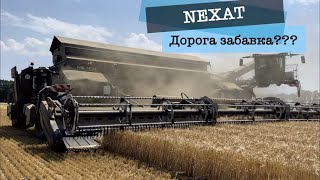 Nexat в Україні. Що ти таке?