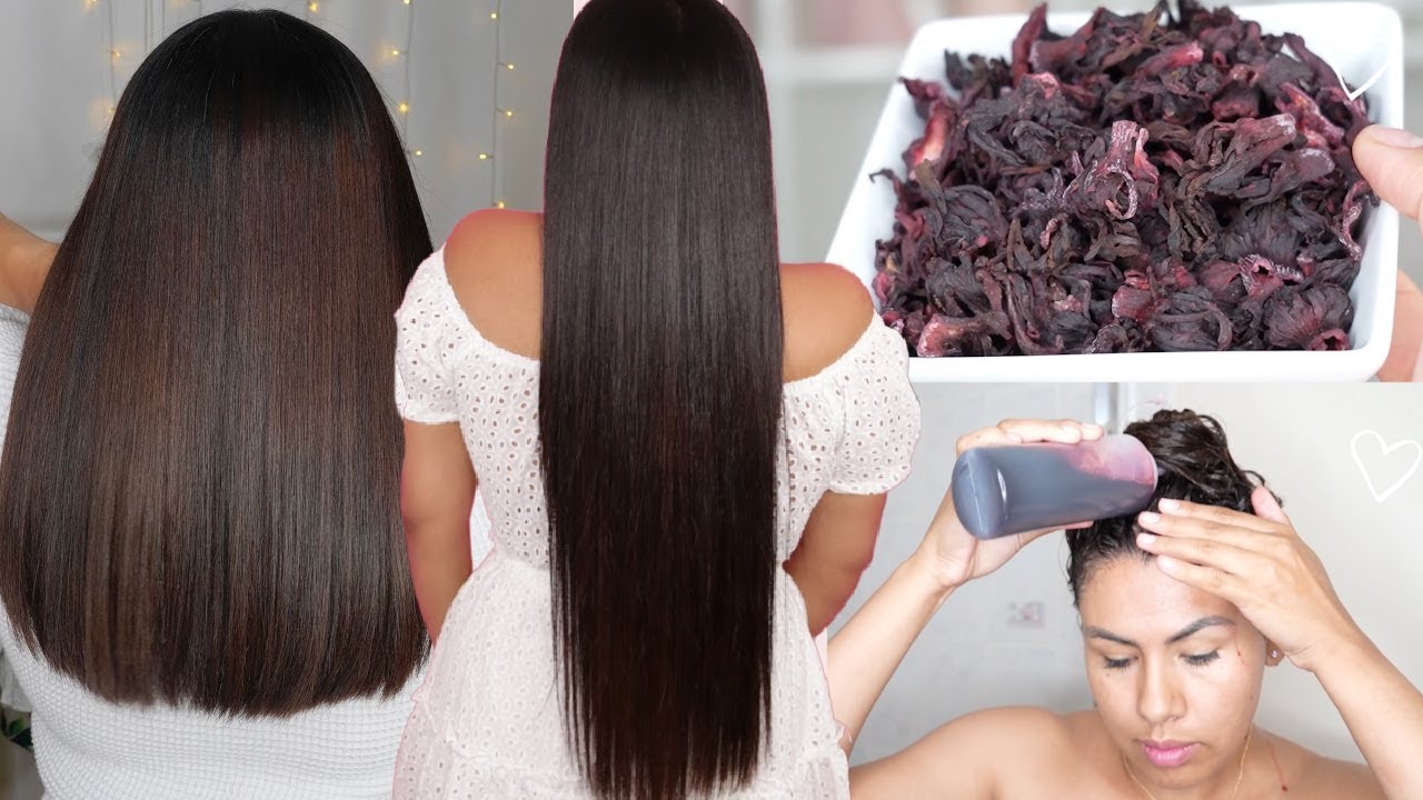 CRECE TU CABELLO,DETEN LA CAIDA ELIMINA LA CASPA CON 1 SOLO INGREDIENTE EN 4 DIAS|FLOR DE HIBISCO🌺