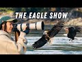 EPIC Bald Eagle Feeding Frenzy in British Columbia – HUNDREDS in Action! | The Eagle Show (Canada)