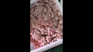 chicken gizzard opening peeling machine for poultry processing