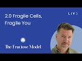 Fragile Cells → Fragile Systems: How Energy Failure Drives Chronic Disease | The Fructose Model 2.0