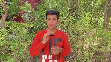 After Graduation, Which All Courses Can You Apply For  ? #msu #msuniversity #msubaroda #ourmsu #gcas