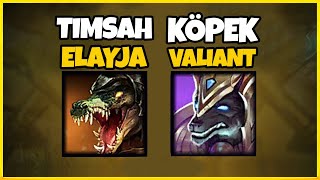 TİMSAH ELAYJA VE KÖPPPPEEEEK @Valiant DUOSU AKJSHDASGDASD TİMSAH ELAYJA VE KÖPPPPEEEEK @Valiant DUOSU AKJSHDASGDASD