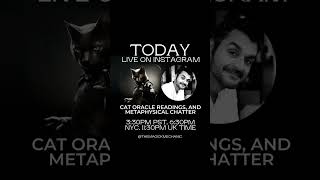 LAST MINUTE! : CAT ORACLE AND METAPHYSICAL Q+A TODAY!