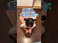 カエルさんストレッチとは?🐸
