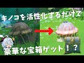[原神]　枯れたキノコを活性化するだけで、豪華な宝箱ゲット！？　スメールの隠し宝箱　4選