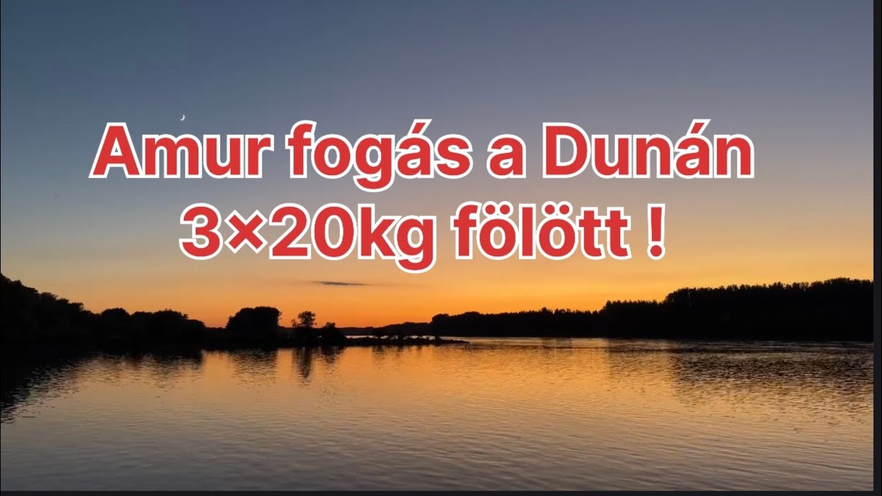 Amur fogás a Dunán 3x20kg Fölött !