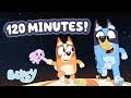 Bluey Family Moments | 2-Hour Compilation 💙