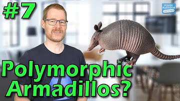 Polymorphic Relationships - Power Platform Unpacked #7