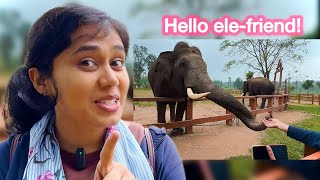 How NOT to approach an Elephant 🐘 | Konkani Vlog, Facts and Fun | Coorg Diaries Part 4
