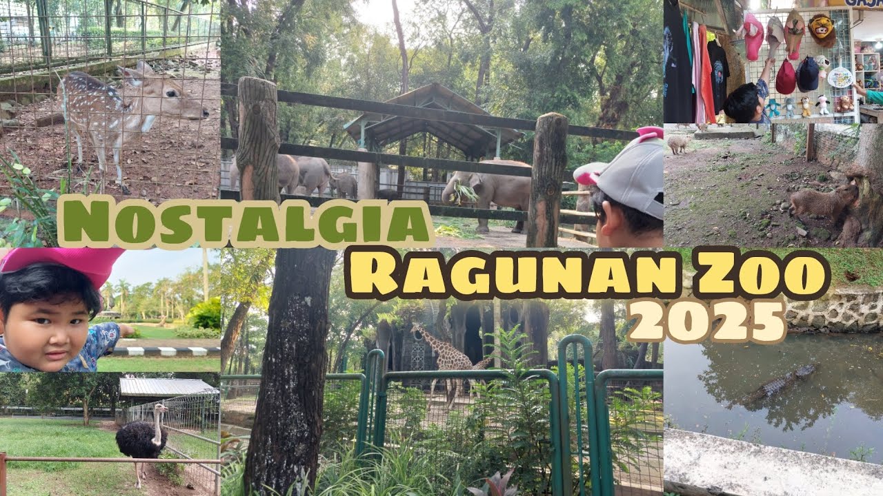 Ke Ragunan Zoo Lagi Setelah 6 Tahun Berlalu🫎🦒