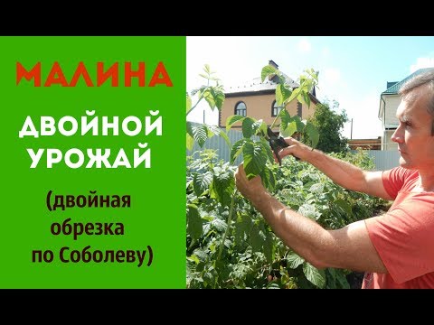 Видео: Что означает двойная обрезка?