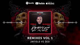 Javiolo vs Sesi Remixes Vol.1