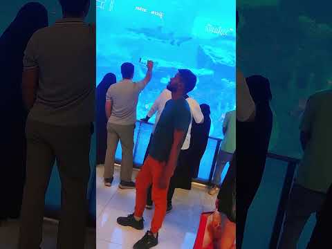 Aquarium & under water zoo #shorts #viral #dubai #uae #aquarium #underwater #zoo