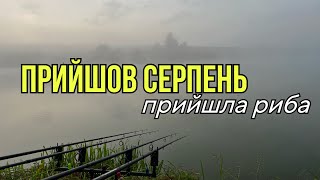 Прийшов серпень - прийшла риба. Карасі та коропи не дають спати! Риболовля в Україні 2023