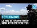 Côte d’Ivoire : le parc de la Comoé renaît après des années de crise