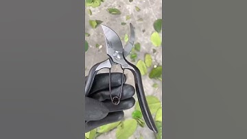 Kéo cắt cành nhật bản đúc nguyên khối Chất liệu hợp kim cao cấp cùng khả năng chống rỉ sét