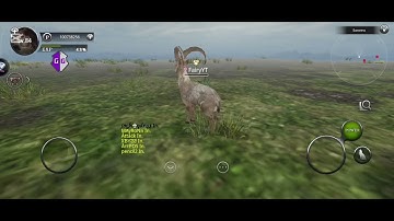 WILD animals online Op super food code inf (LV + Points) | PhoenixFlare Plays