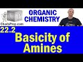 Understanding the Basicity of Amines