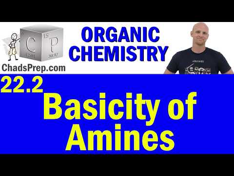 22.2 Basicity of