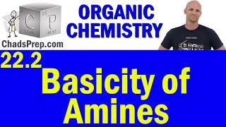 22.2 Basicity of Amines | Organic Chemistry