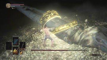 SL1 NG3+ High Lord Wolnir  No Rolling/Blocking/Parrying