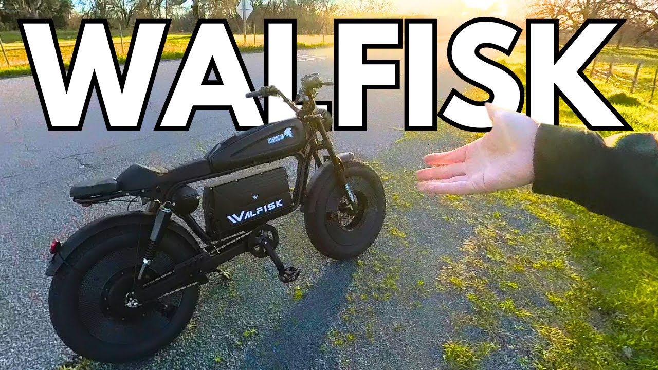 Electric assisted bicycle] The strongest power ever and