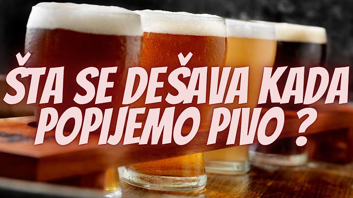 Šta se Dešava u Organizmu Kada Pijemo Pivo