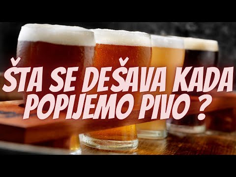 Šta se Dešava u Organizmu Kada Pijemo Pivo