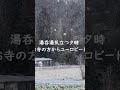 馬骨 #狐火
