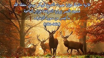 تلاوة مؤثرة مبكية بصوت الشيخ أبوبكر مومني حفظه الله .ما تيسرمن سورة الزخرف (061 - 080)