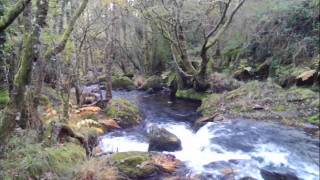 Molinos Deva (Petán) A Cañiza.wmv