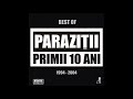 Parazitii  - Milionari de weekend (remix)